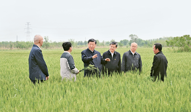 2023年5月11日至12日，中共中央總書記、國家主席、中央軍委主席習(xí)近平在河北考察，并主持召開深入推進(jìn)京津冀協(xié)同發(fā)展座談會。這是11日上午，習(xí)近平在滄州市黃驊市舊城鎮(zhèn)仙莊片區(qū)旱堿地麥田考察時，同種植戶、農(nóng)技專家親切交流。 新華社記者 李學(xué)仁/攝